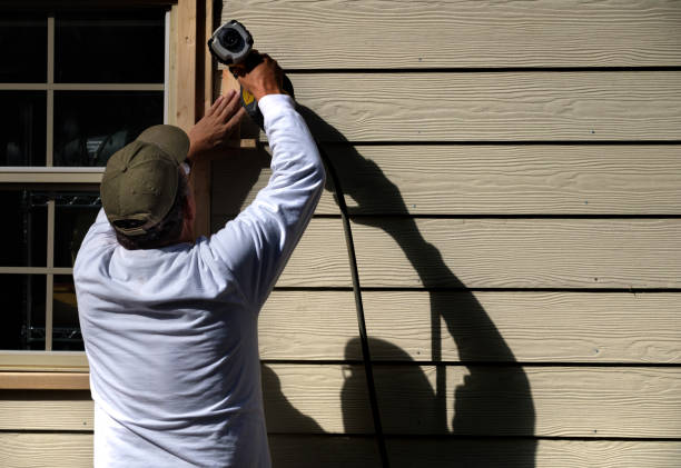 Best Custom Trim and Detailing for Siding  in Mounds View, MN