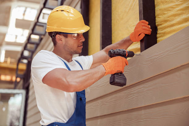 Affordable Siding Repair and Maintenance Services in Mounds View, MN